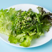 012. Grüner Algensalat